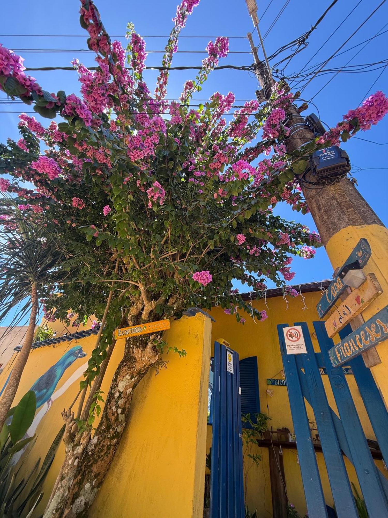 Casa Dos Franceses Ilha Grandeヴィラ エクステリア 写真